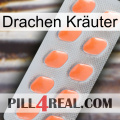 Drachen Kräuter 26